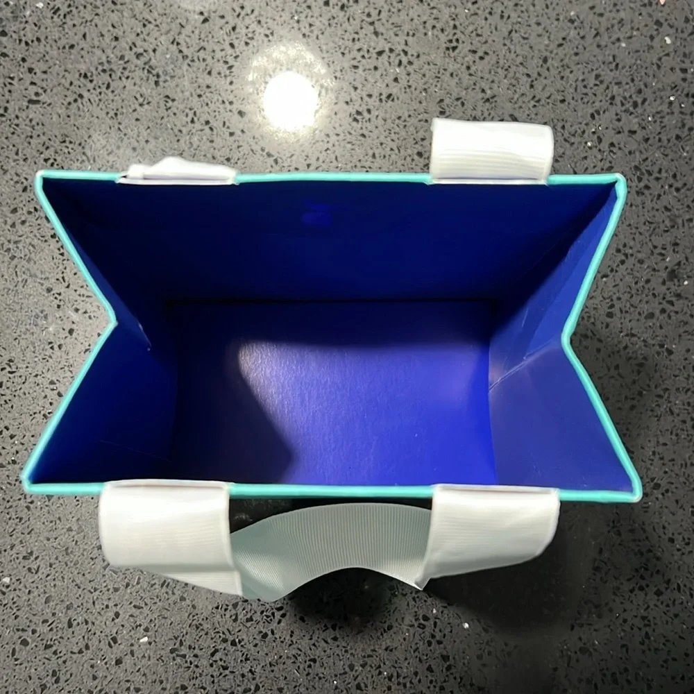 Tiffany & Co. Blue Gift Bag